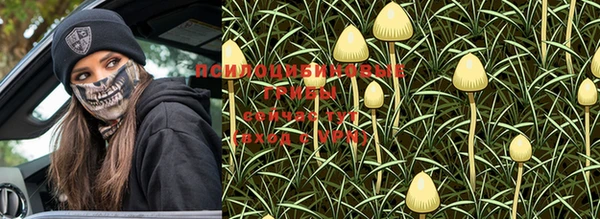PSILOCYBIN Баксан