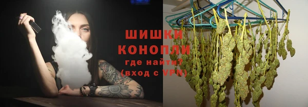 PSILOCYBIN Баксан